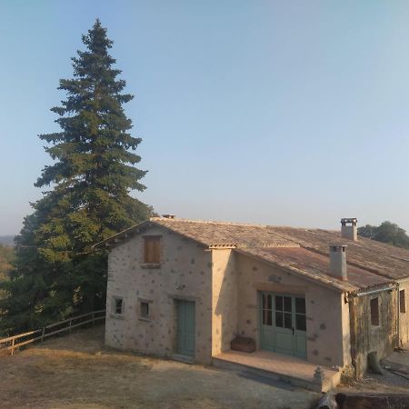 La Caseta De El Llancis Santa María de Corcó Dış mekan fotoğraf