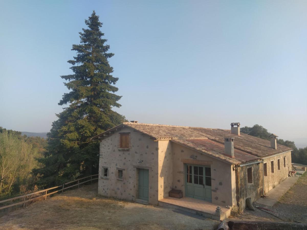 La Caseta De El Llancis Santa María de Corcó Dış mekan fotoğraf